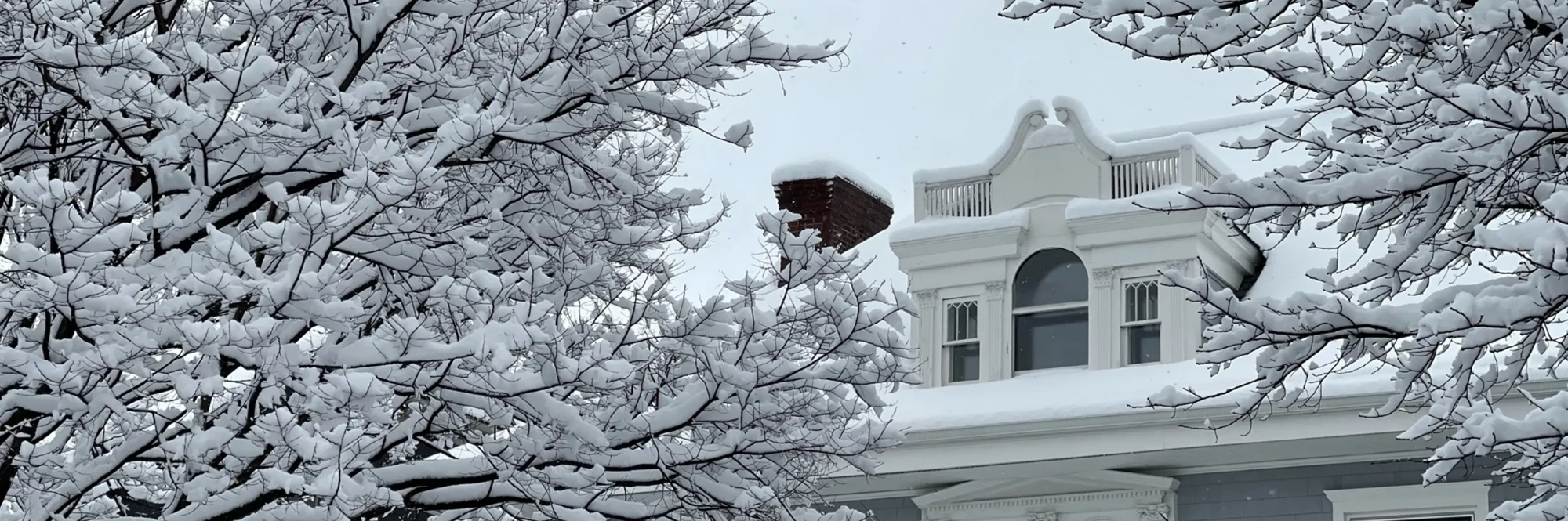 Snow-covered branches framing the white rooftop belvedere and brick chimney of a restored Victorian house in Ditmas Park